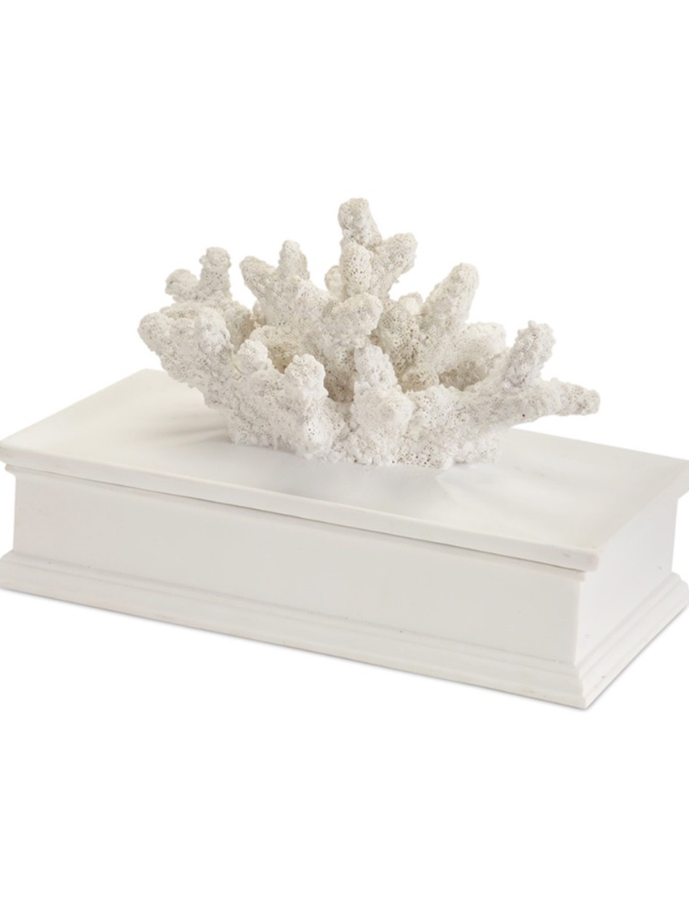 NEW White Coral Storage Box